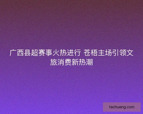广西县超赛事火热进行 苍梧主场引领文旅消费新热潮 广西县超赛事火热进行 苍梧主场引领文旅消费新热潮