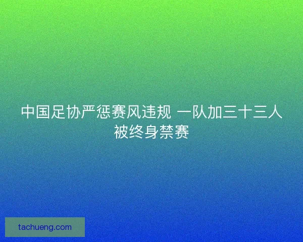 中国足协严惩赛风违规 一队加三十三人被终身禁赛