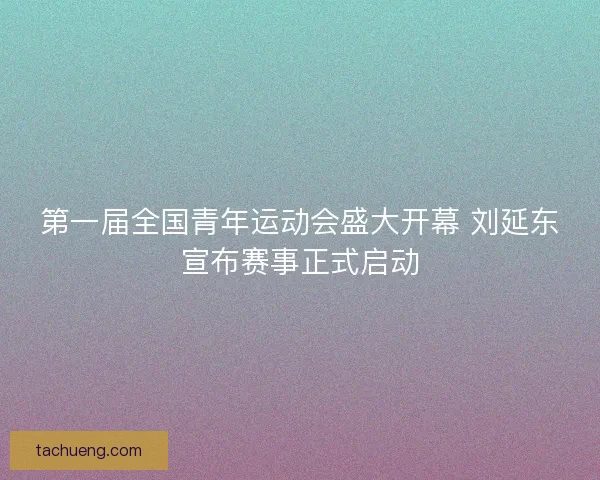 第一届全国青年运动会盛大开幕 刘延东宣布赛事正式启动